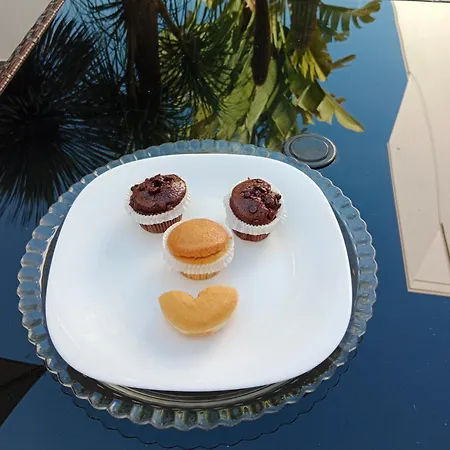 Guest house Vianova 3*