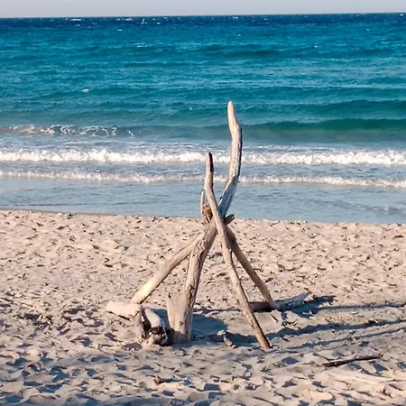 Vianova ジュルディニャーノ