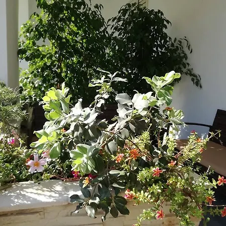 Guest house Vianova Giurdignano