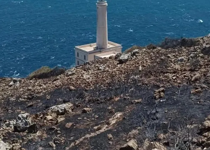 招待所 Vianova 3*